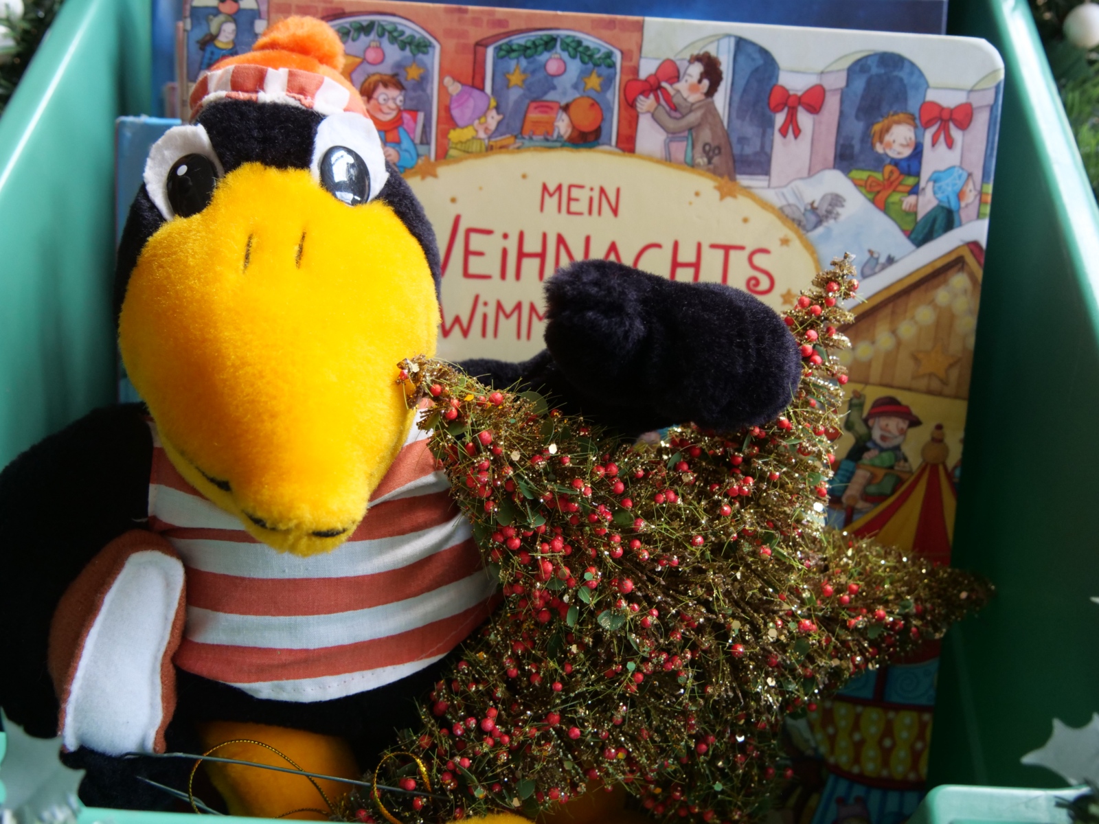 Fridolin der Weihnachtsbuchkiste mit einem Weihnachtsstern